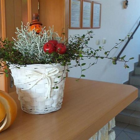 Penzion Lúčky Esterno foto