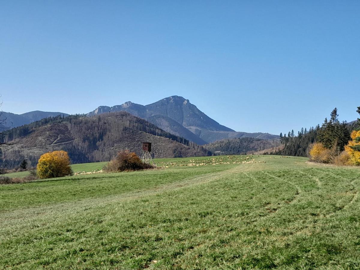Penzion Lúčky Esterno foto